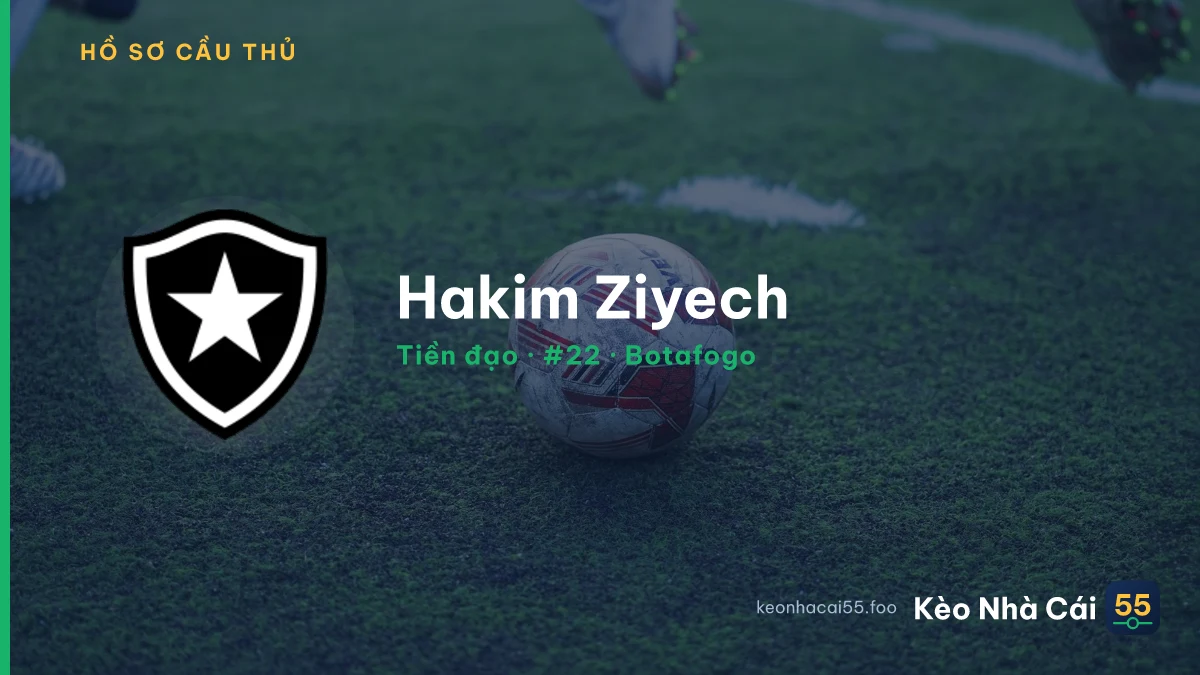 Hakim Ziyech — Botafogo