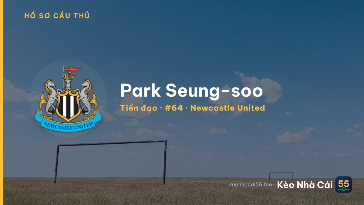 Park Seung-soo — Newcastle United