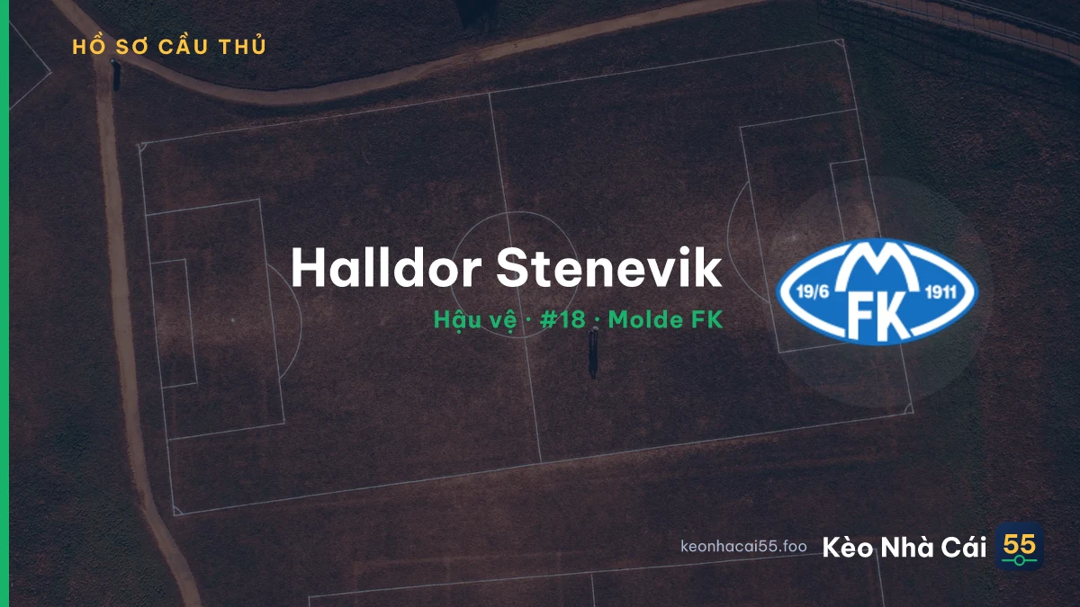 Halldor Stenevik — Molde FK