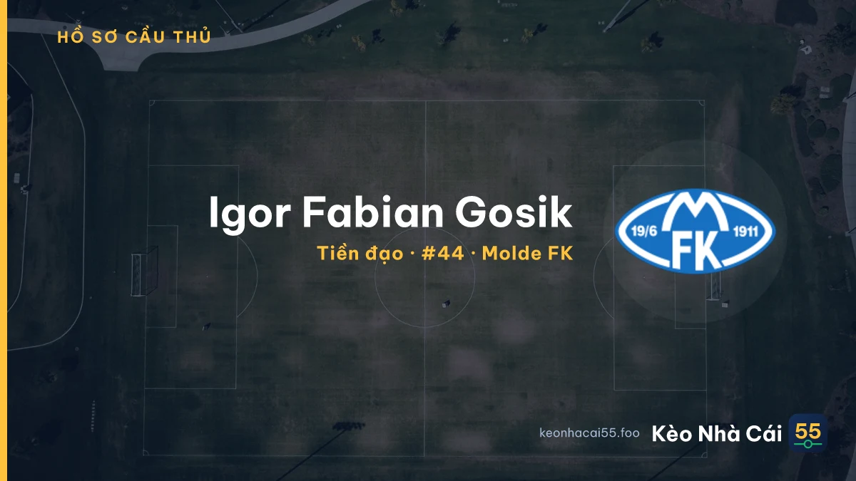 Igor Fabian Gosik — Molde FK