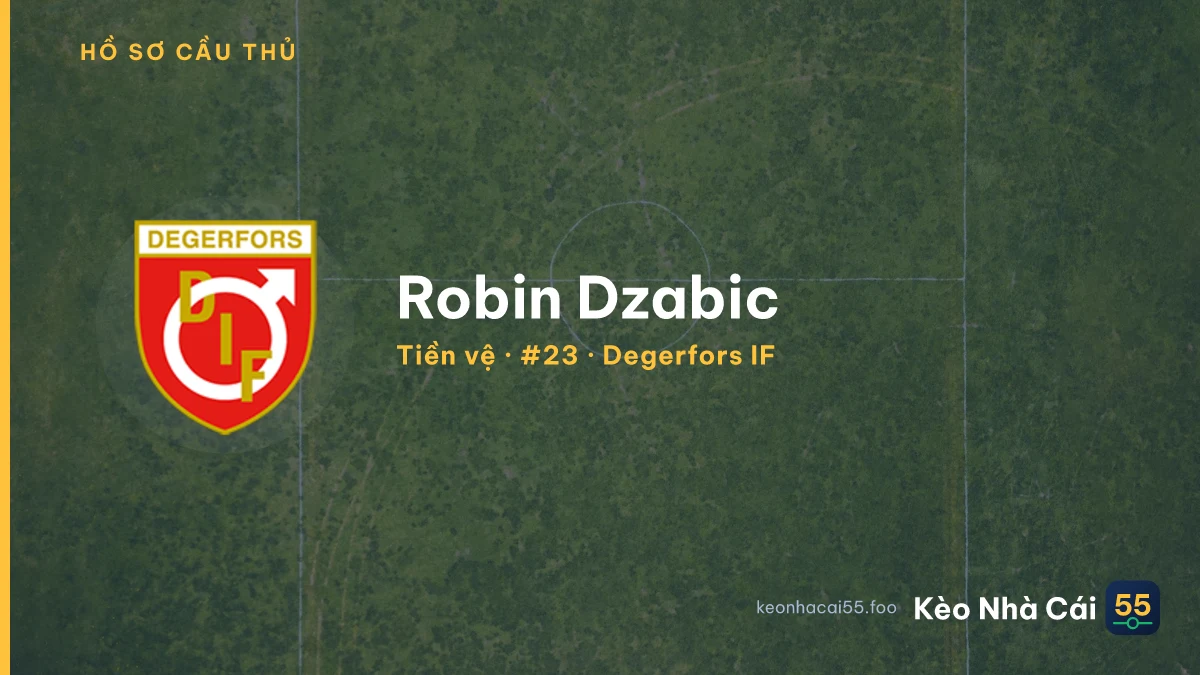 Robin Dzabic — Degerfors IF