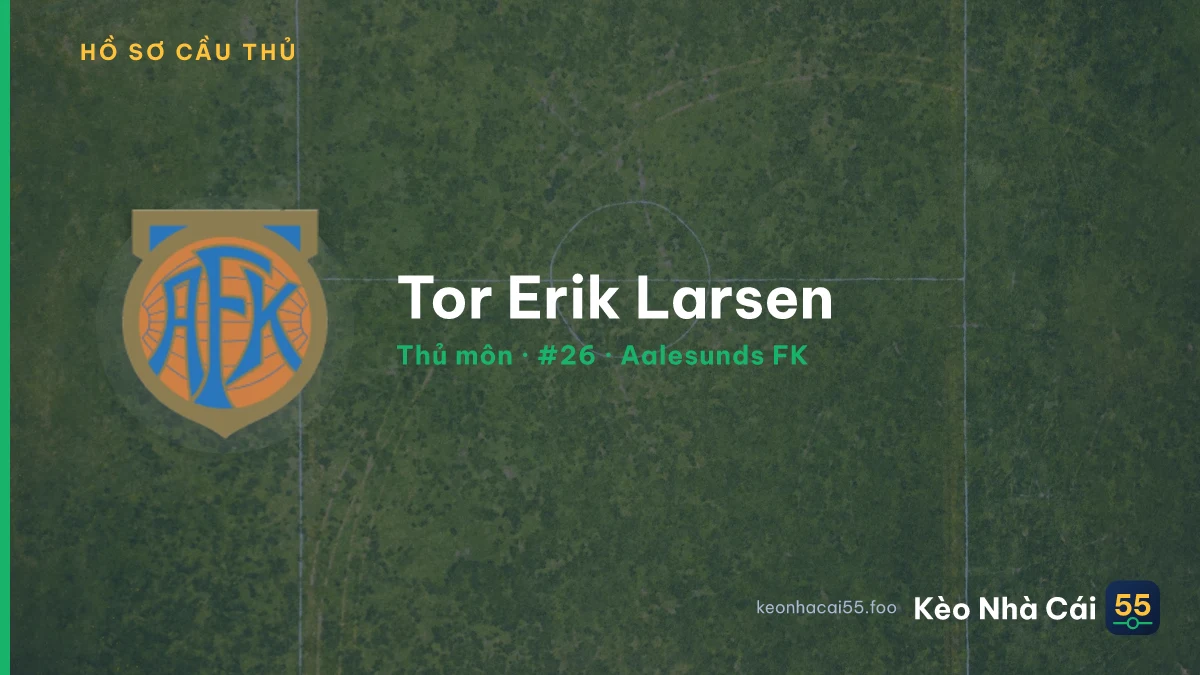 Tor Erik Larsen — Aalesunds FK