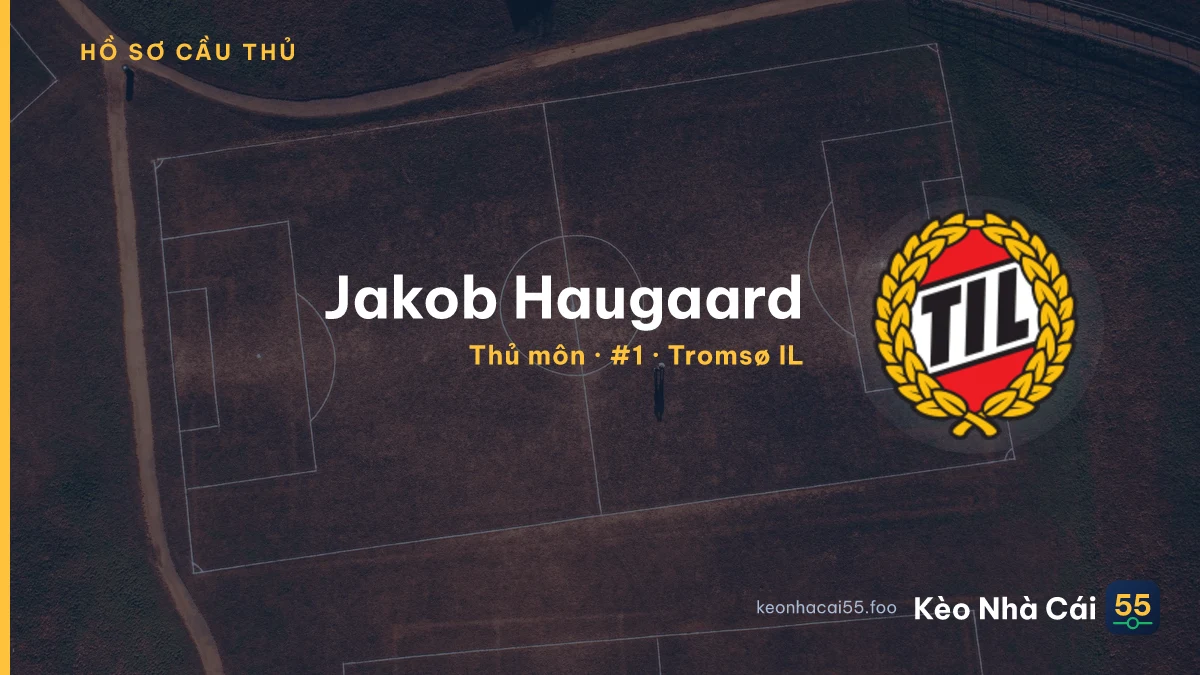 Jakob Haugaard — Tromsø IL