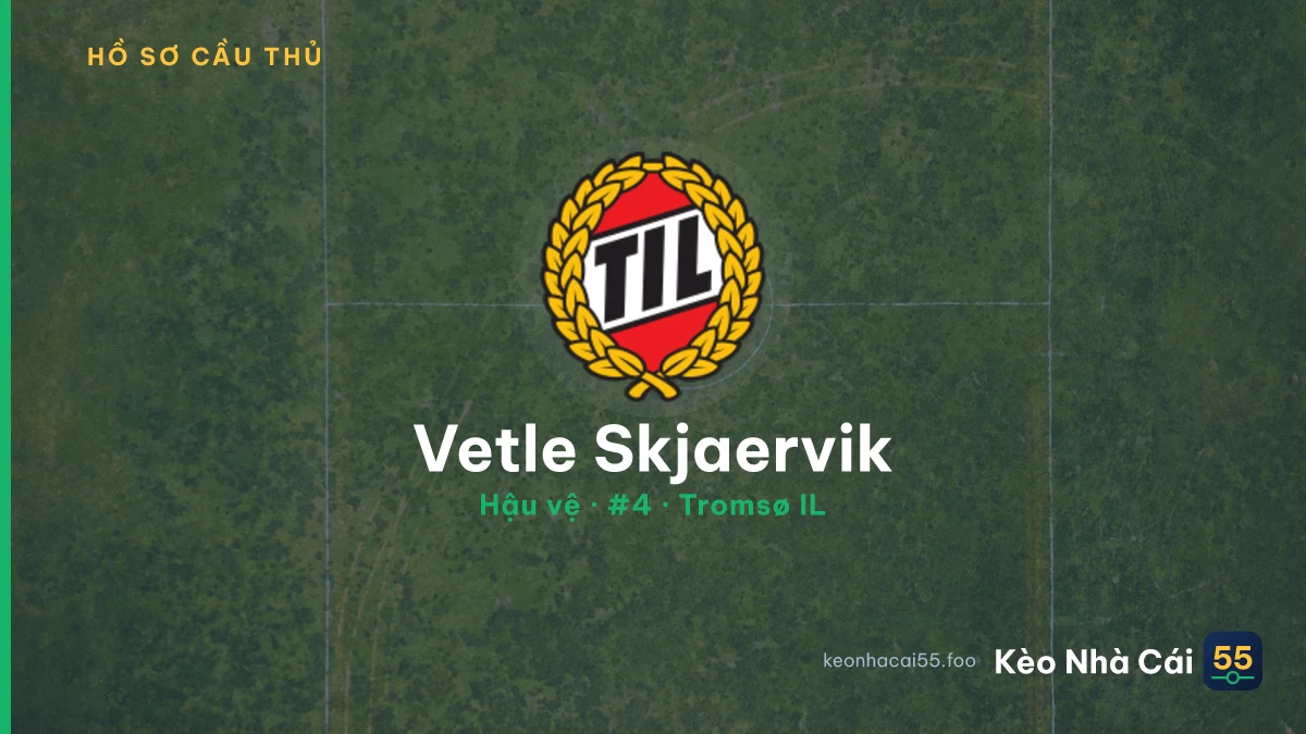 Vetle Skjaervik — Tromsø IL