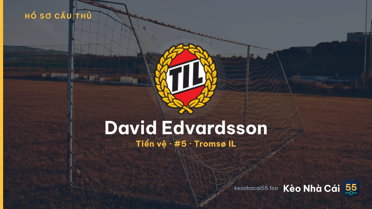 David Edvardsson — Tromsø IL