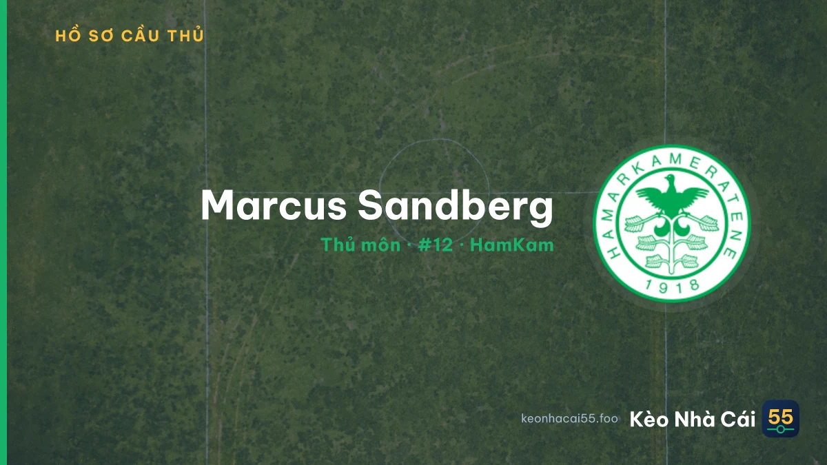Marcus Sandberg — HamKam