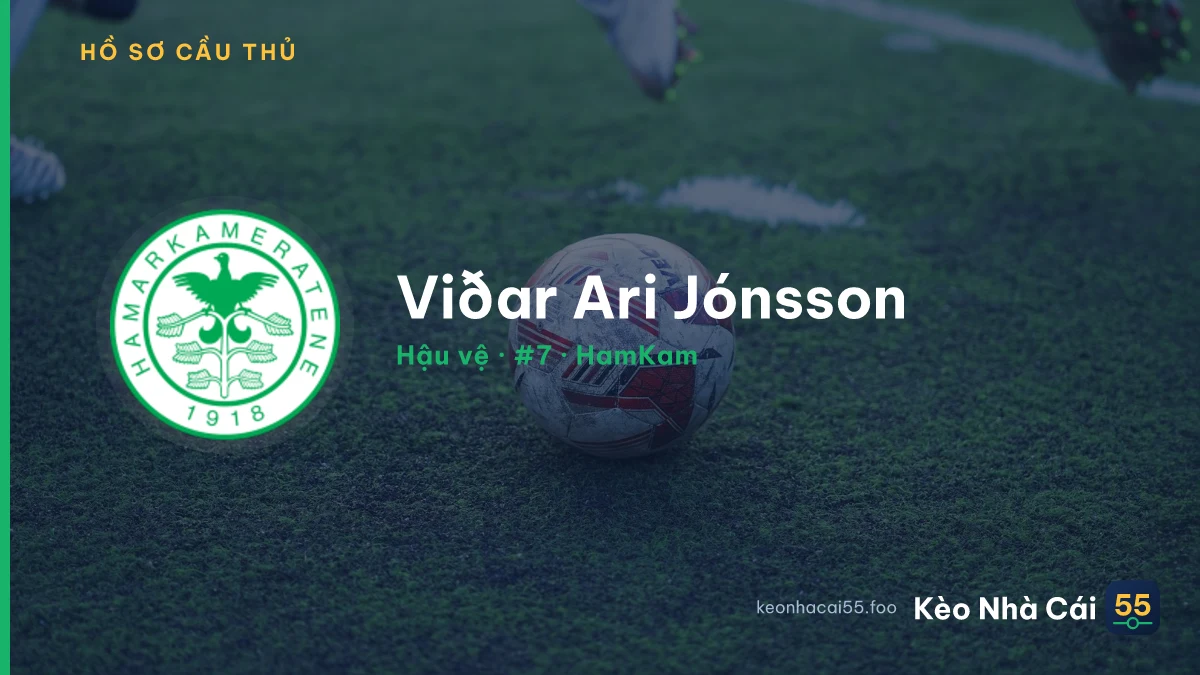 Viðar Ari Jónsson — HamKam