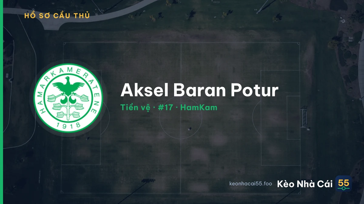 Aksel Baran Potur — HamKam