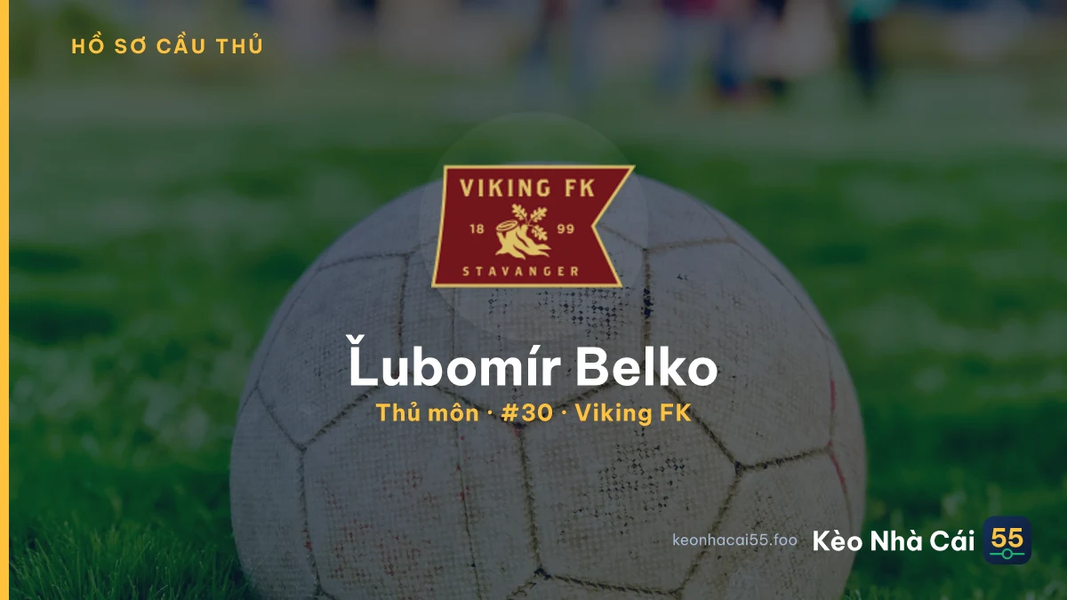 Ľubomír Belko — Viking FK