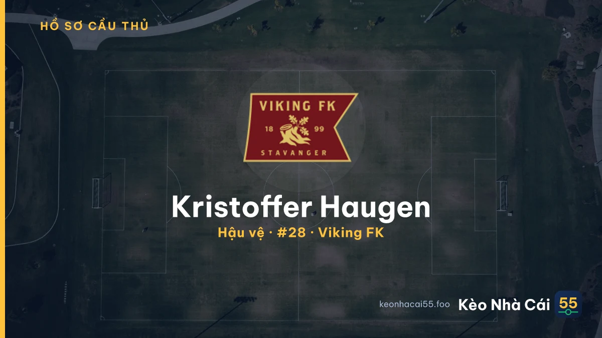 Kristoffer Haugen — Viking FK