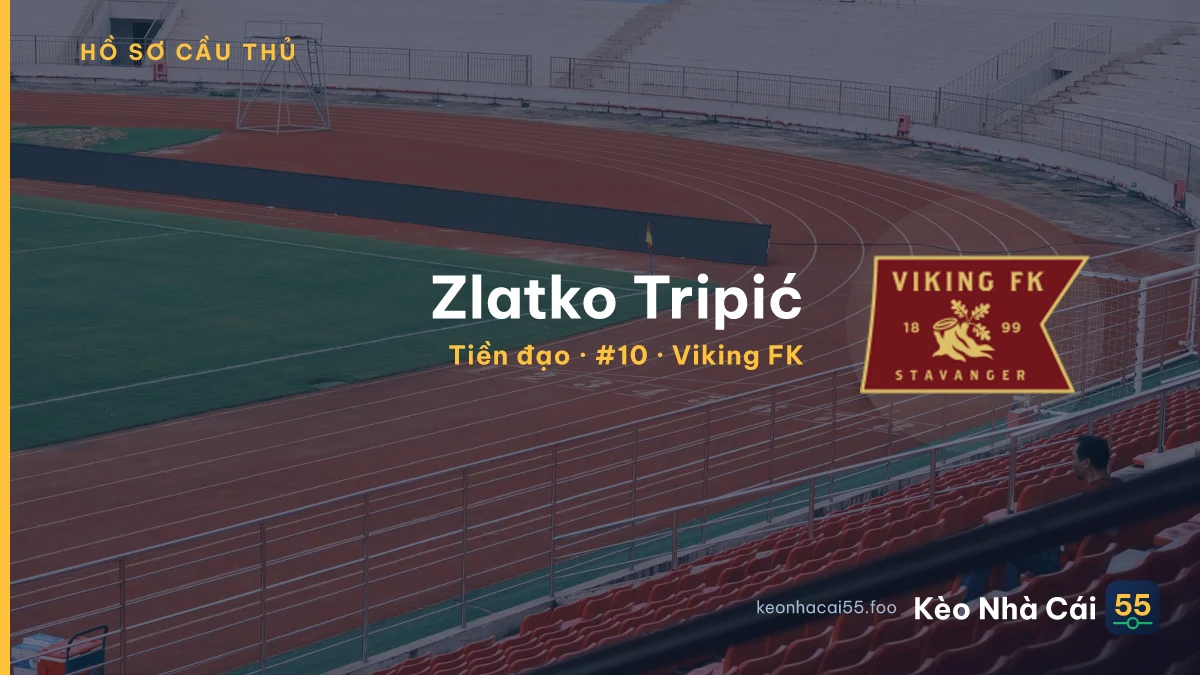 Zlatko Tripić — Viking FK