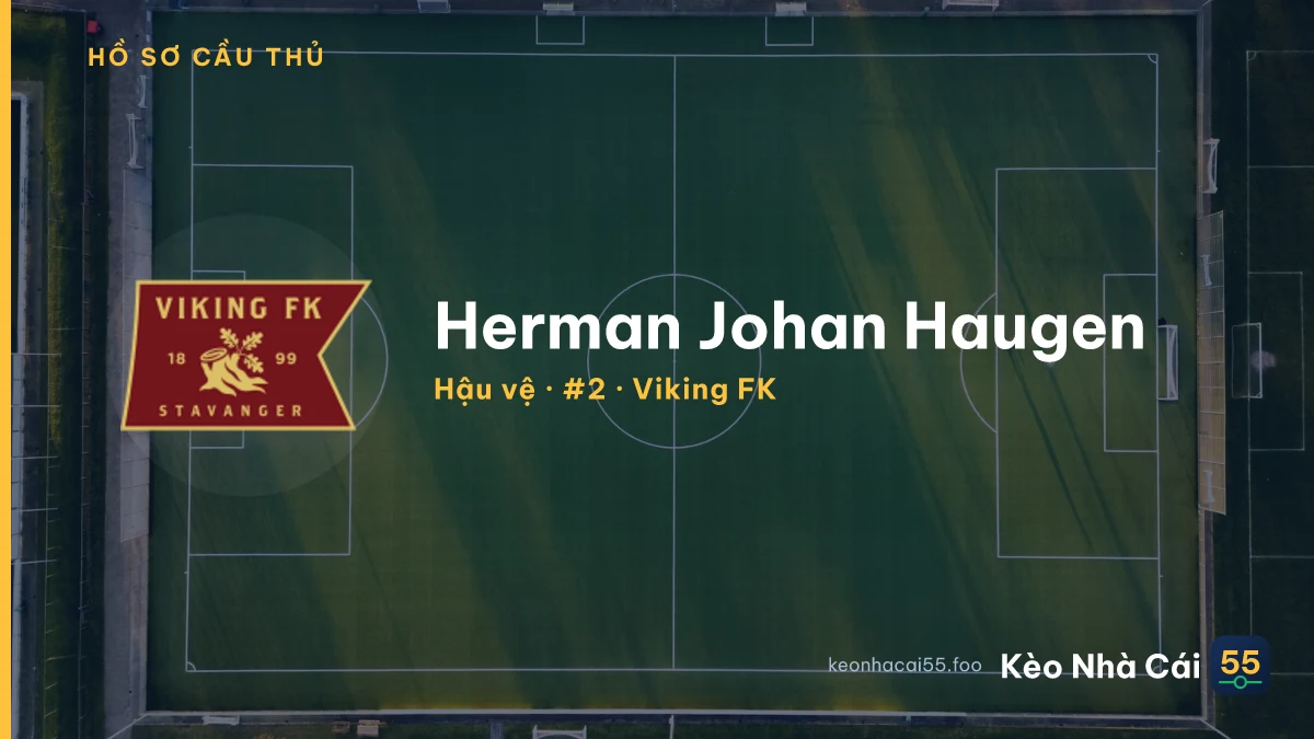 Herman Johan Haugen — Viking FK