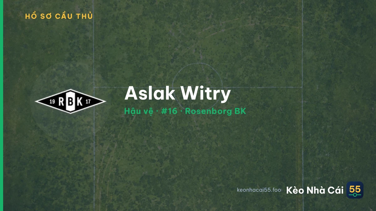 Aslak Witry — Rosenborg BK