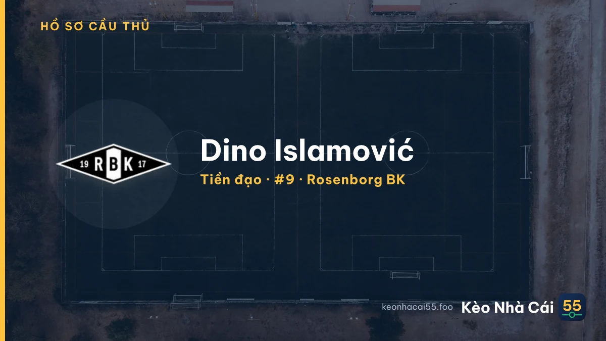Dino Islamović — Rosenborg BK