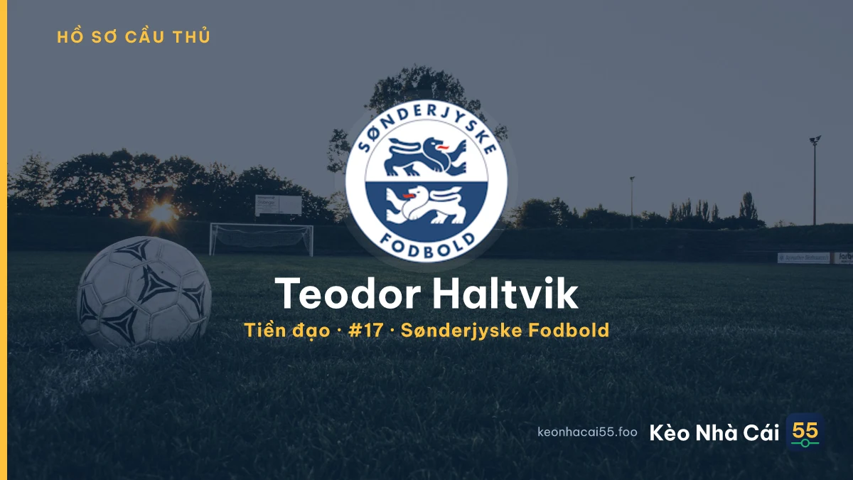 Teodor Haltvik — Sønderjyske Fodbold