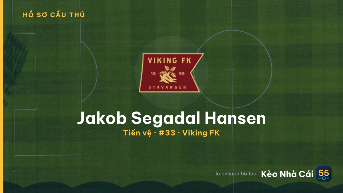 Jakob Segadal Hansen — Viking FK
