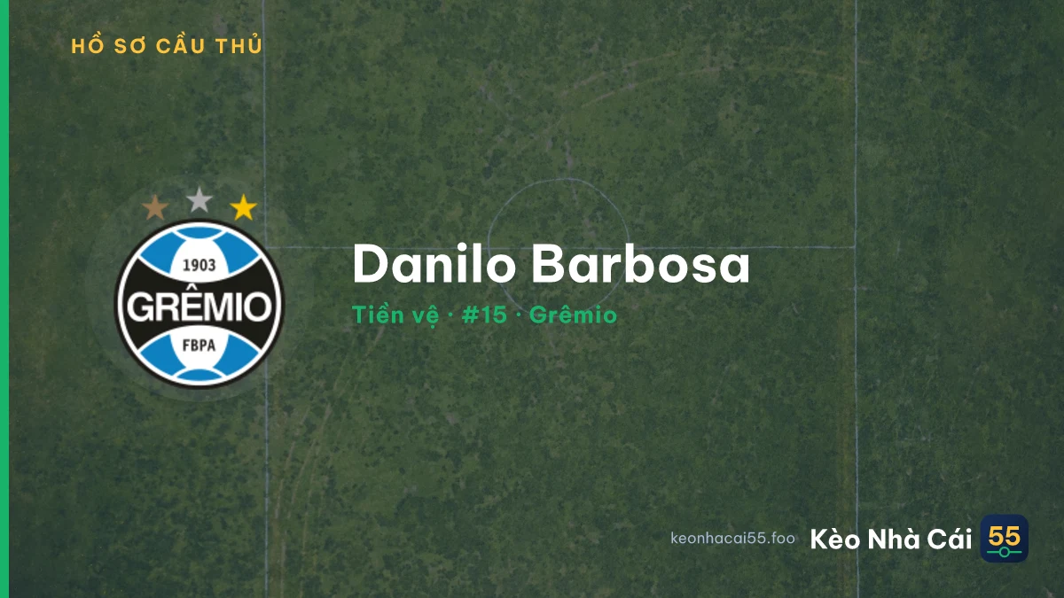 Danilo Barbosa — Grêmio
