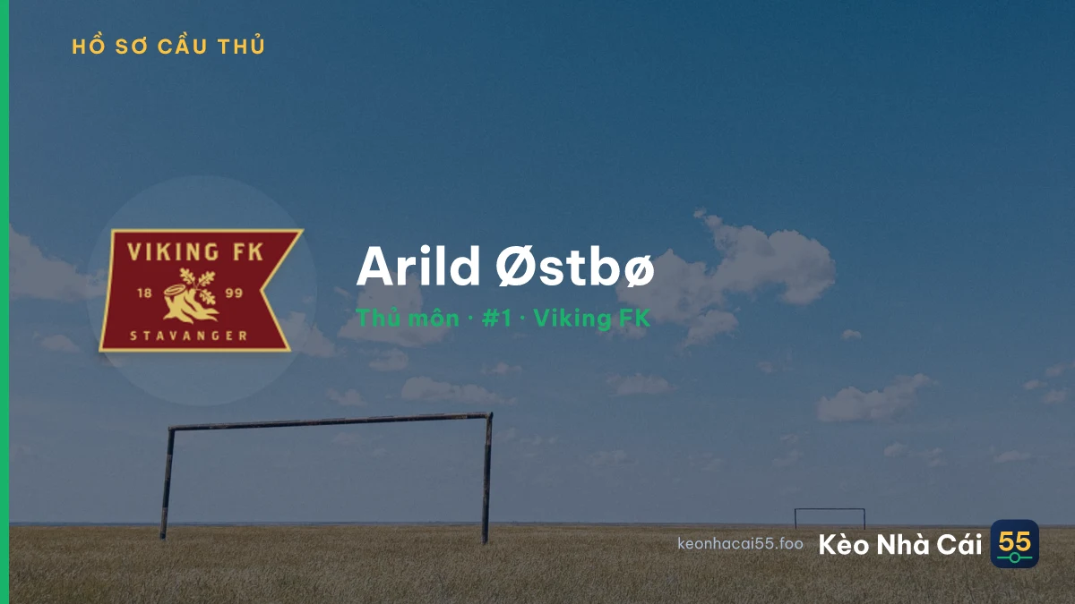 Arild Østbø — Viking FK