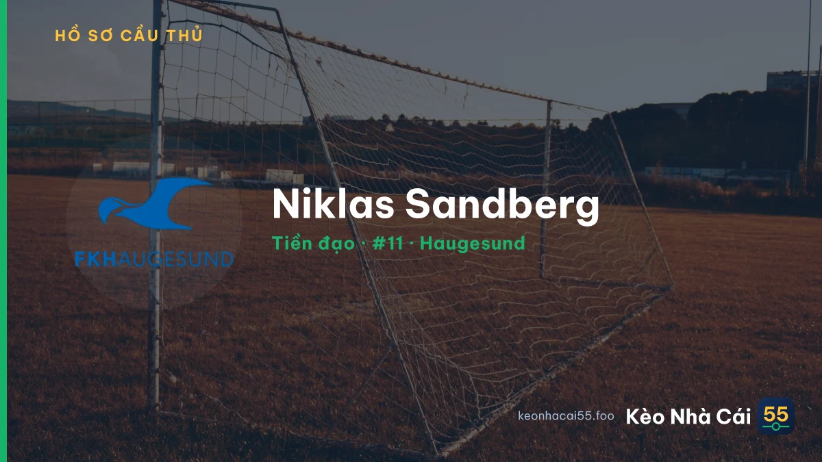 Niklas Sandberg — Haugesund