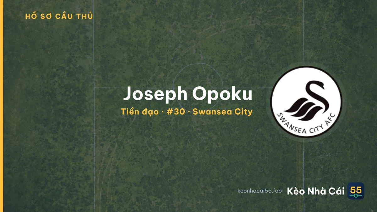 Joseph Opoku — Swansea City