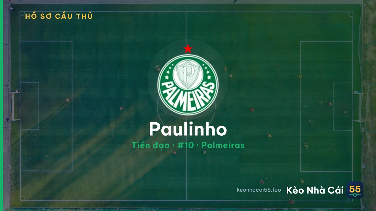 Paulinho — Palmeiras