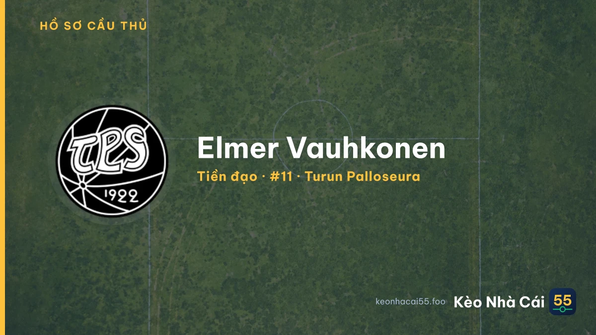 Elmer Vauhkonen — Turun Palloseura