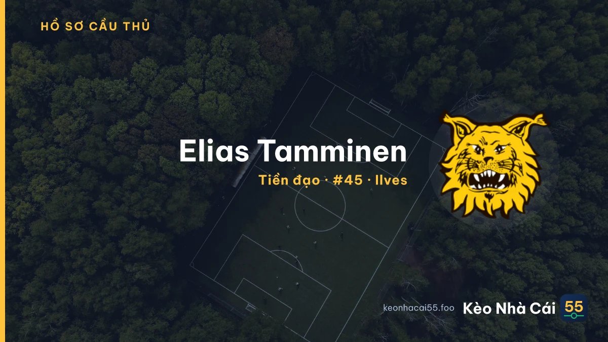 Elias Tamminen — Ilves