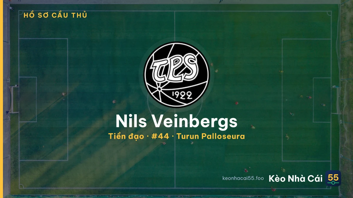 Nils Veinbergs — Turun Palloseura