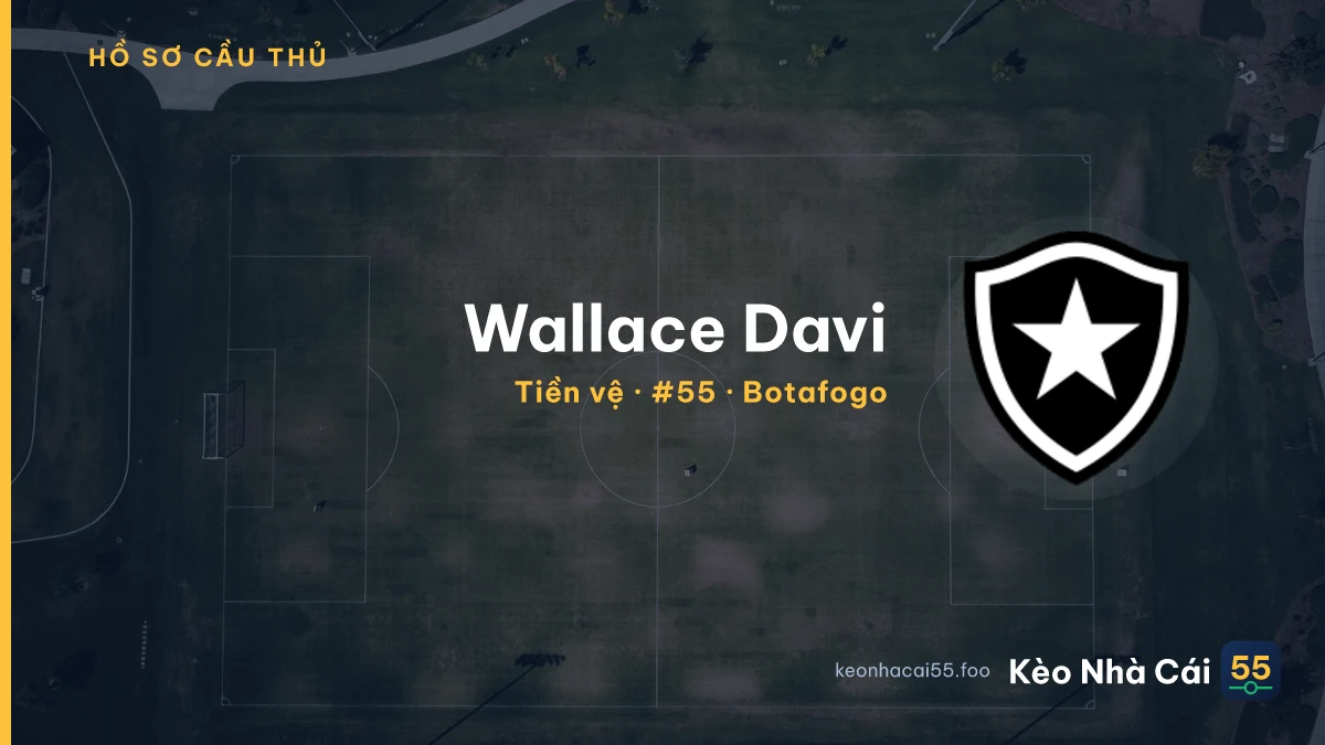 Wallace Davi — Botafogo