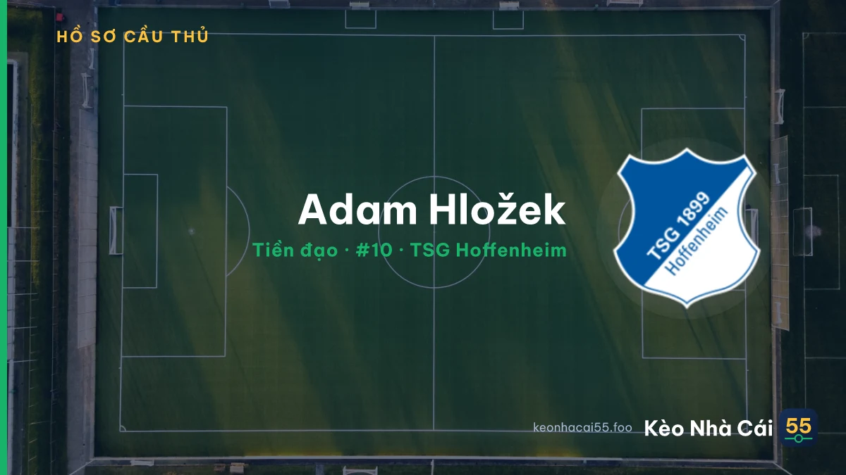 Adam Hložek — TSG Hoffenheim
