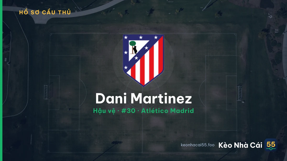 Dani Martinez — Atlético Madrid
