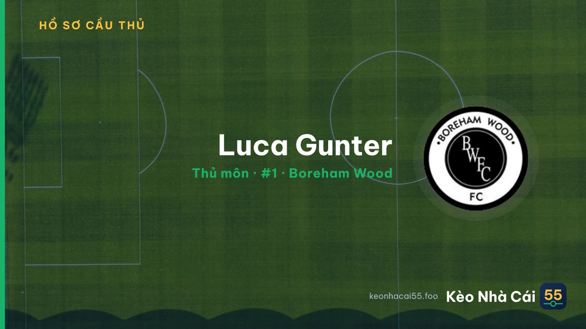Luca Gunter — Boreham Wood