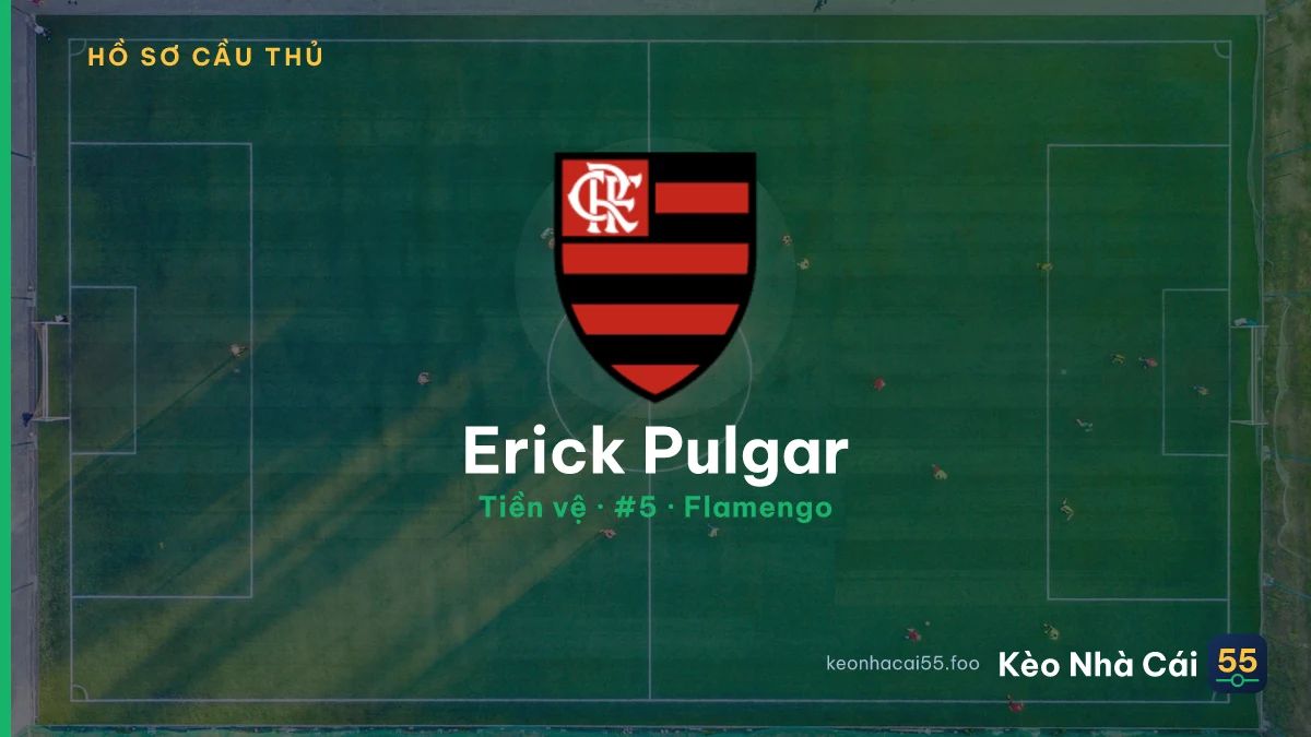 Erick Pulgar — Flamengo