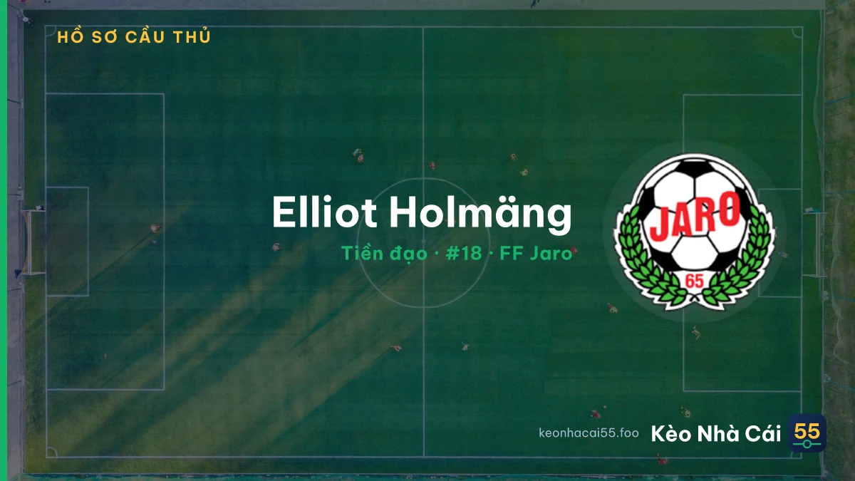 Elliot Holmäng — FF Jaro