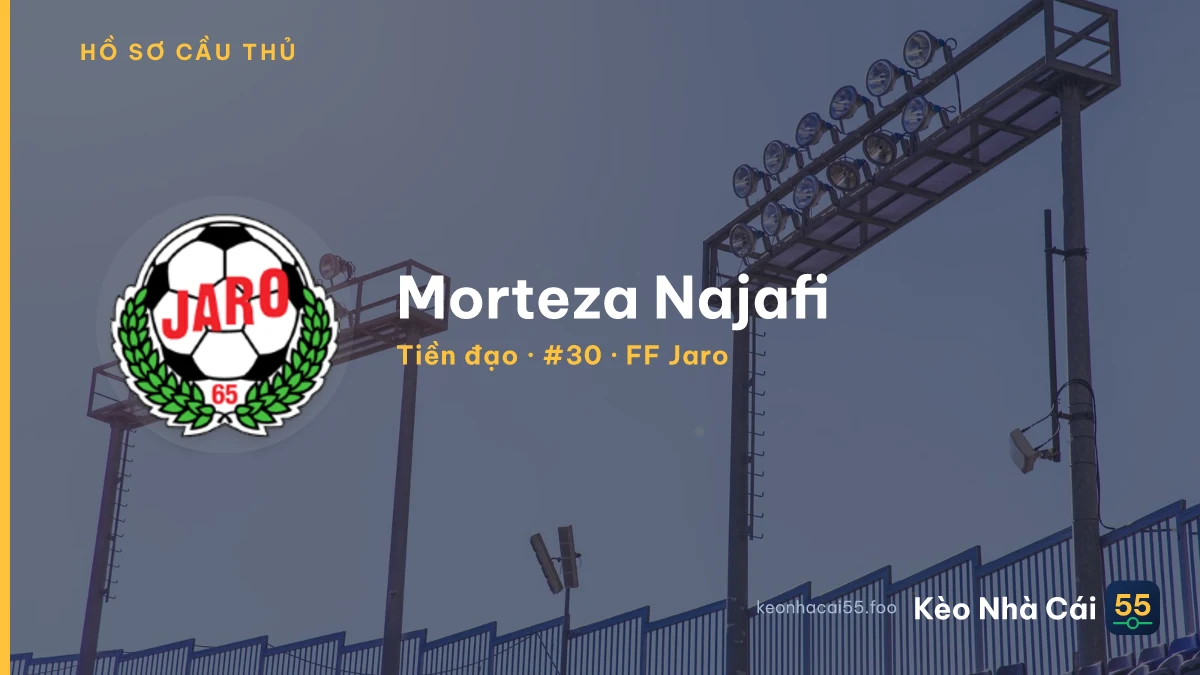 Morteza Najafi — FF Jaro