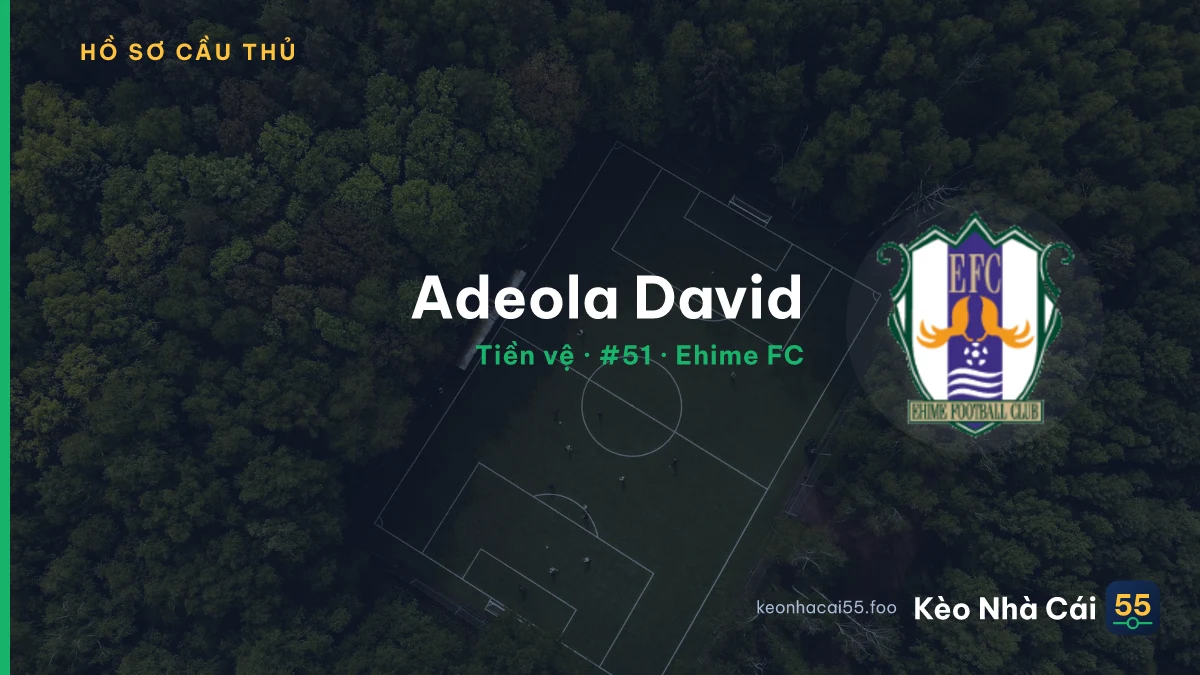 Adeola David — Ehime FC