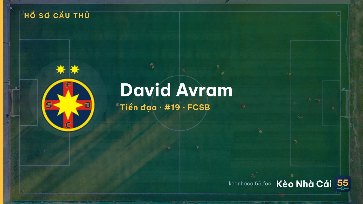 David Avram — FCSB