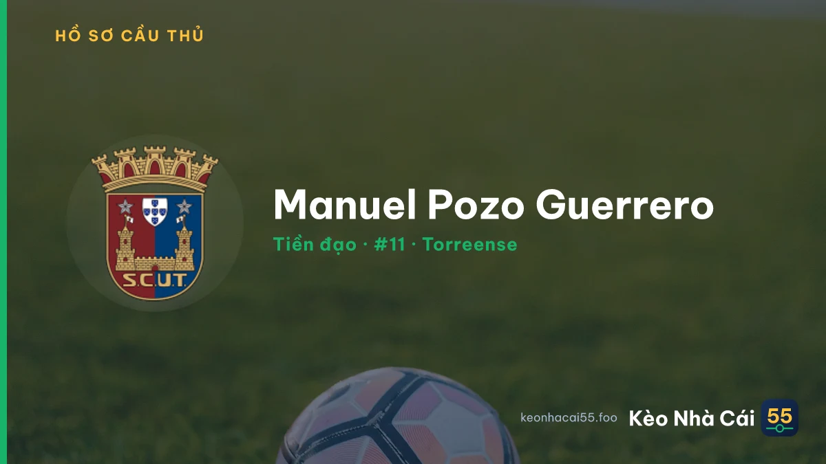 Manuel Pozo Guerrero — Torreense