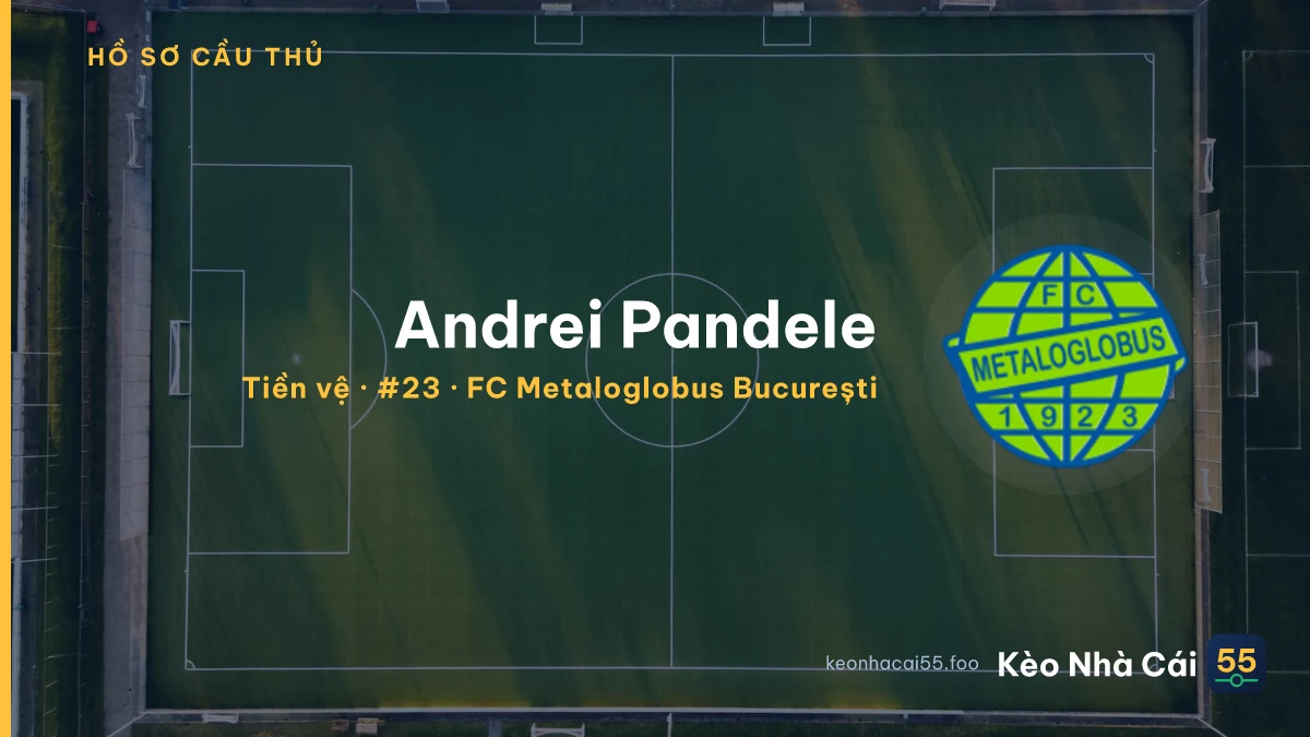Andrei Pandele — FC Metaloglobus București