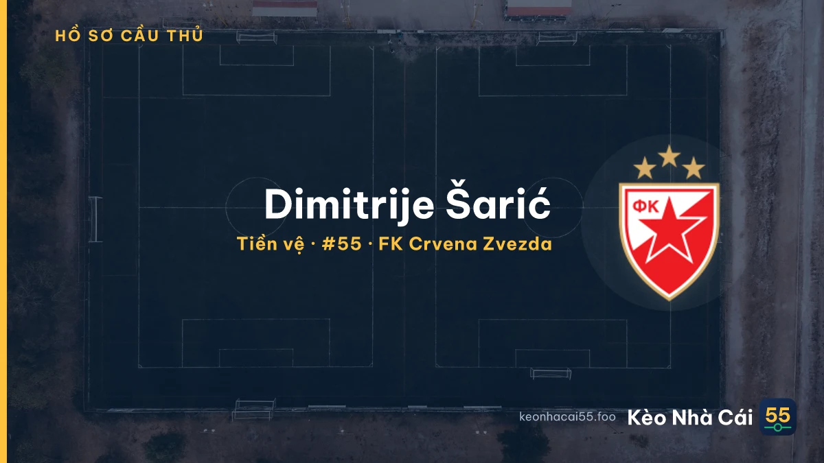 Dimitrije Šarić — FK Crvena Zvezda