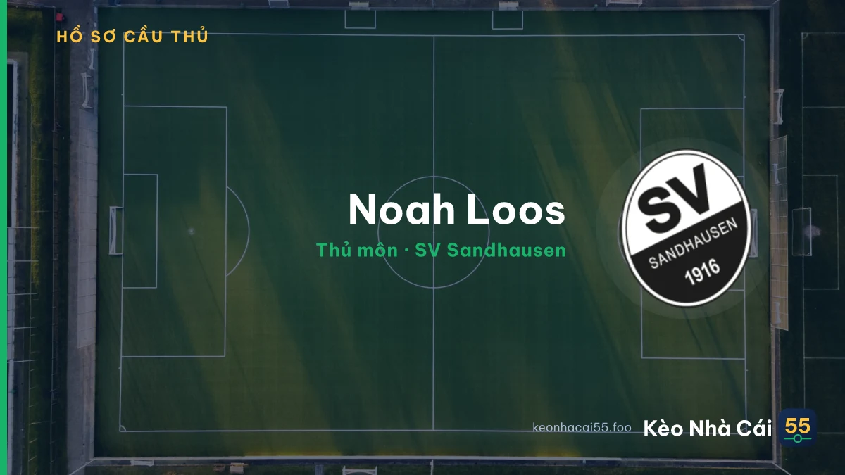 Noah Loos — SV Sandhausen