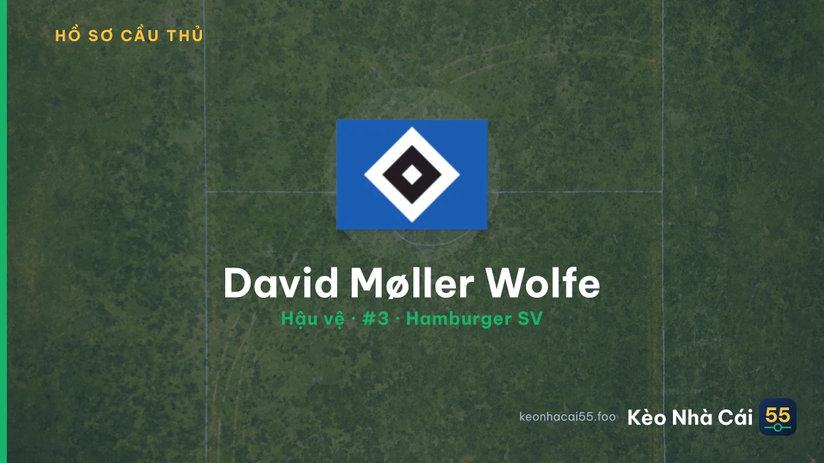David Møller Wolfe — Hamburger SV