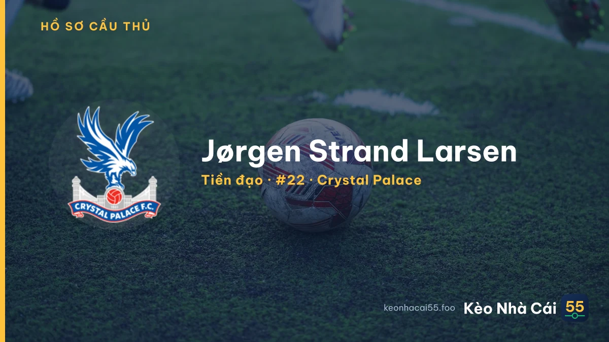 Jørgen Strand Larsen — Crystal Palace