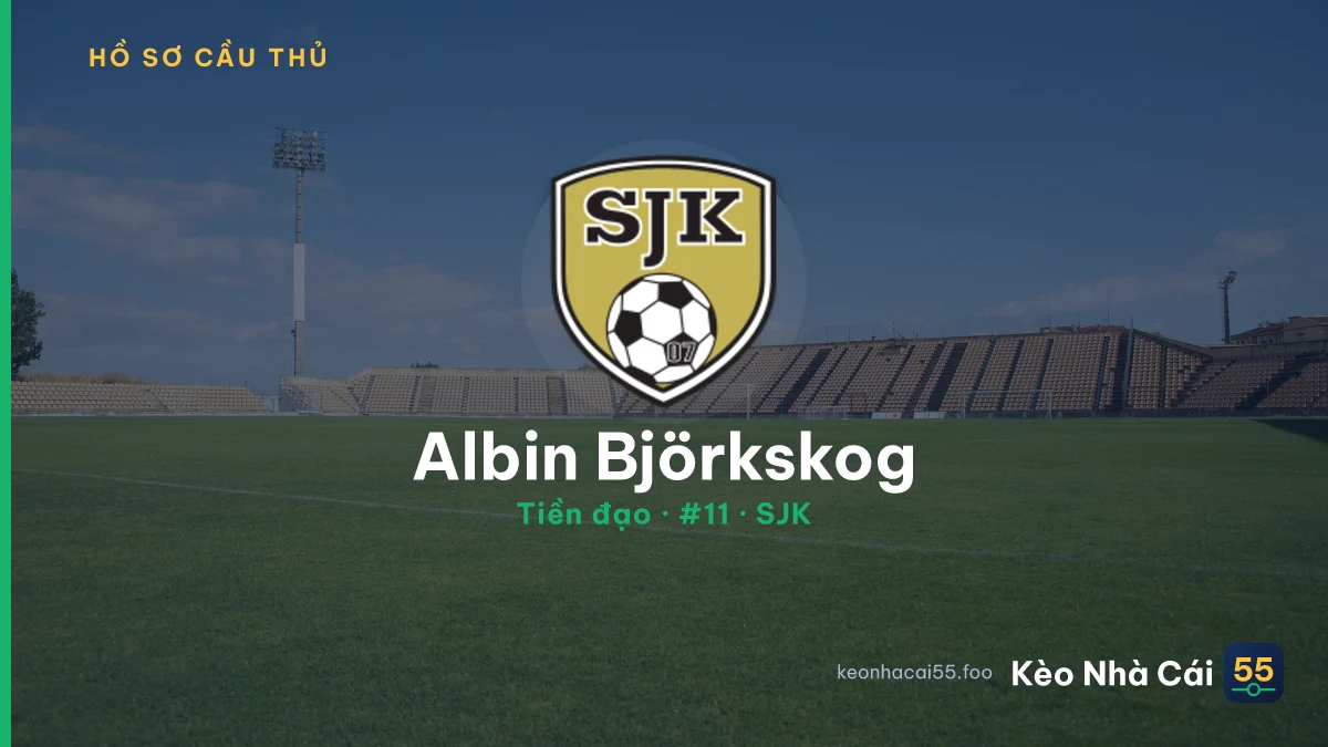 Albin Björkskog — SJK
