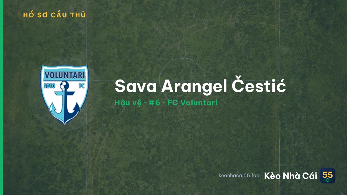 Sava Arangel Čestić — FC Voluntari