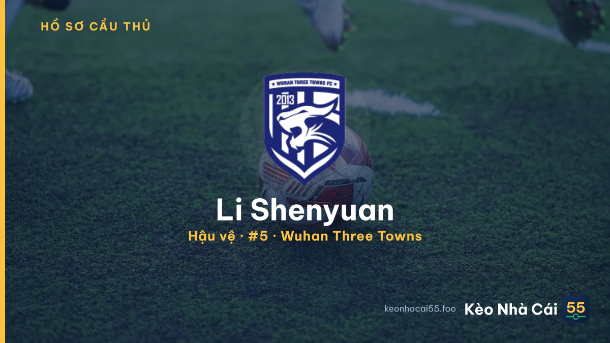 Li Shenyuan — Wuhan Three Towns