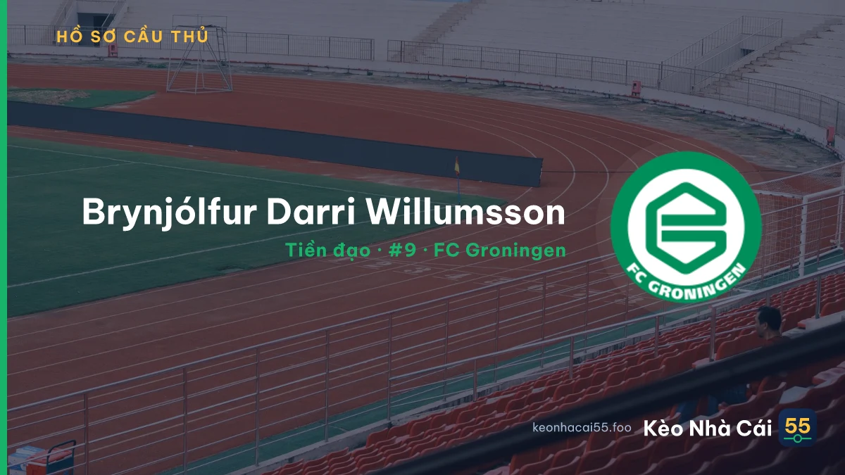 Brynjólfur Darri Willumsson — FC Groningen