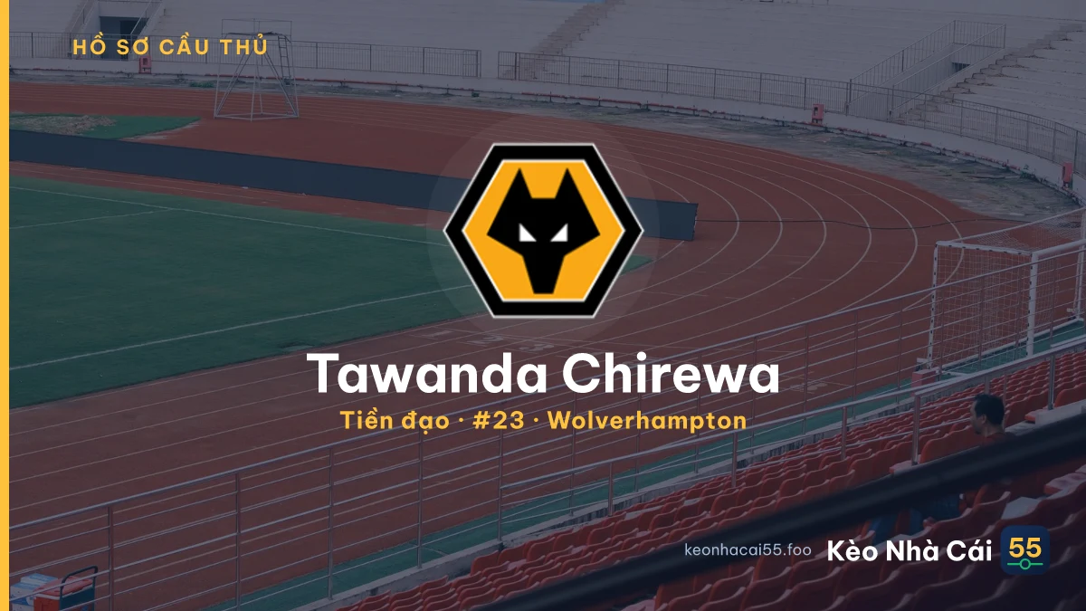 Tawanda Chirewa — Wolverhampton