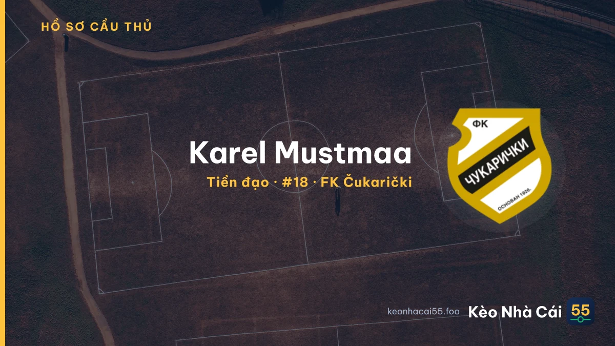 Karel Mustmaa — FK Čukarički