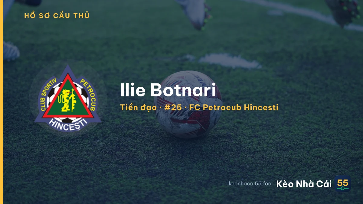 Ilie Botnari — FC Petrocub Hîncesti